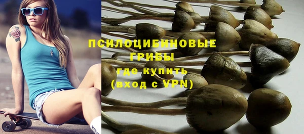 таблы Липки